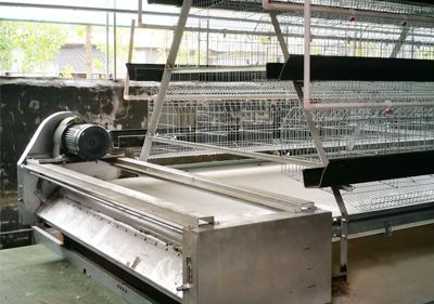 如何對清糞機設(shè)備進行維護？