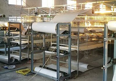 自動采食器的優(yōu)點