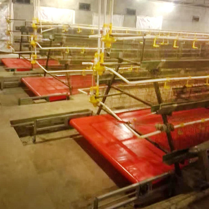 PVC自動清糞機 (2).jpg