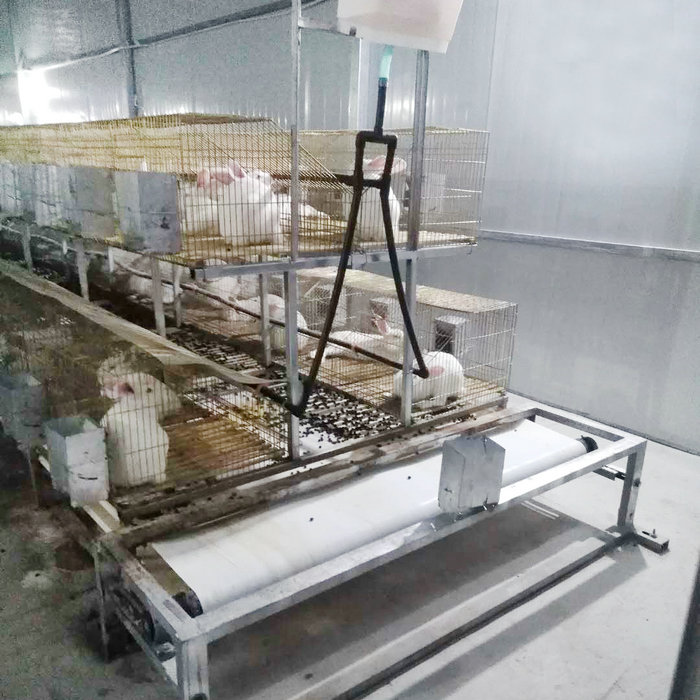 兔用自動清糞機 (9).jpg