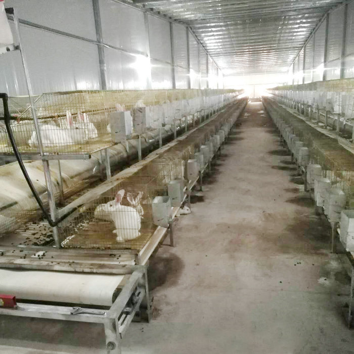 兔用自動清糞機 (8).jpg