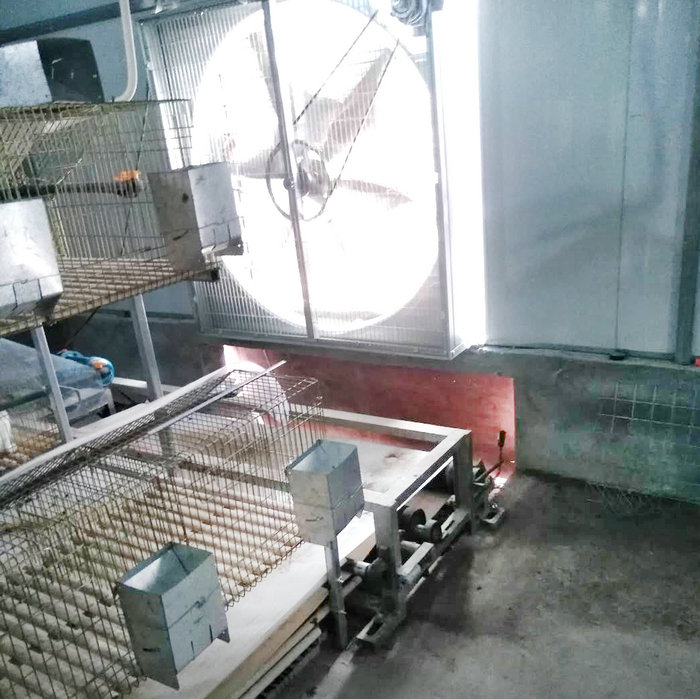 兔用自動清糞機 (2).jpg