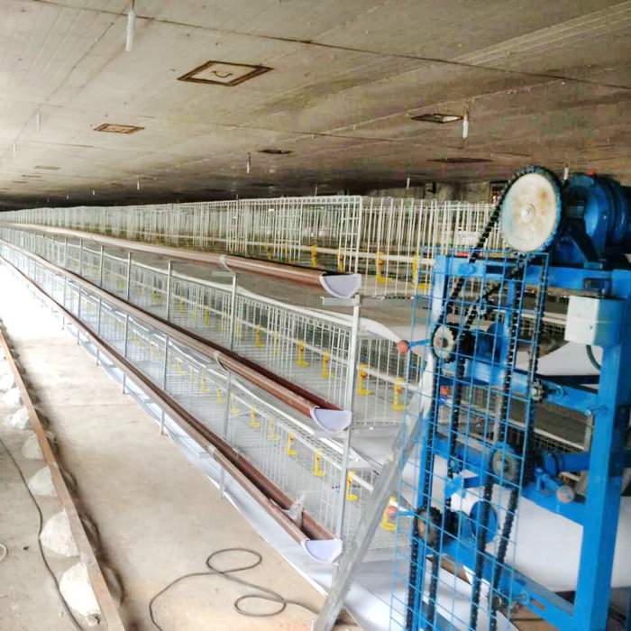 肉雞全自動(dòng)清糞機(jī) (4).jpg