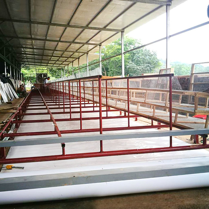 鵪鶉清糞機 (1).jpg