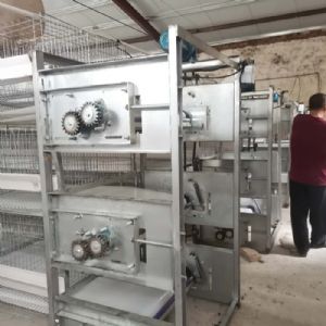 肉雞全自動清糞機