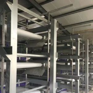 肉雞全自動清糞機(jī)